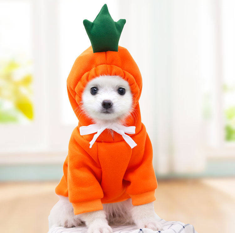 Cute Fruit Clothes For Small Dogs Hoodies Winter Warm Coat For French Chihuahua Outfit