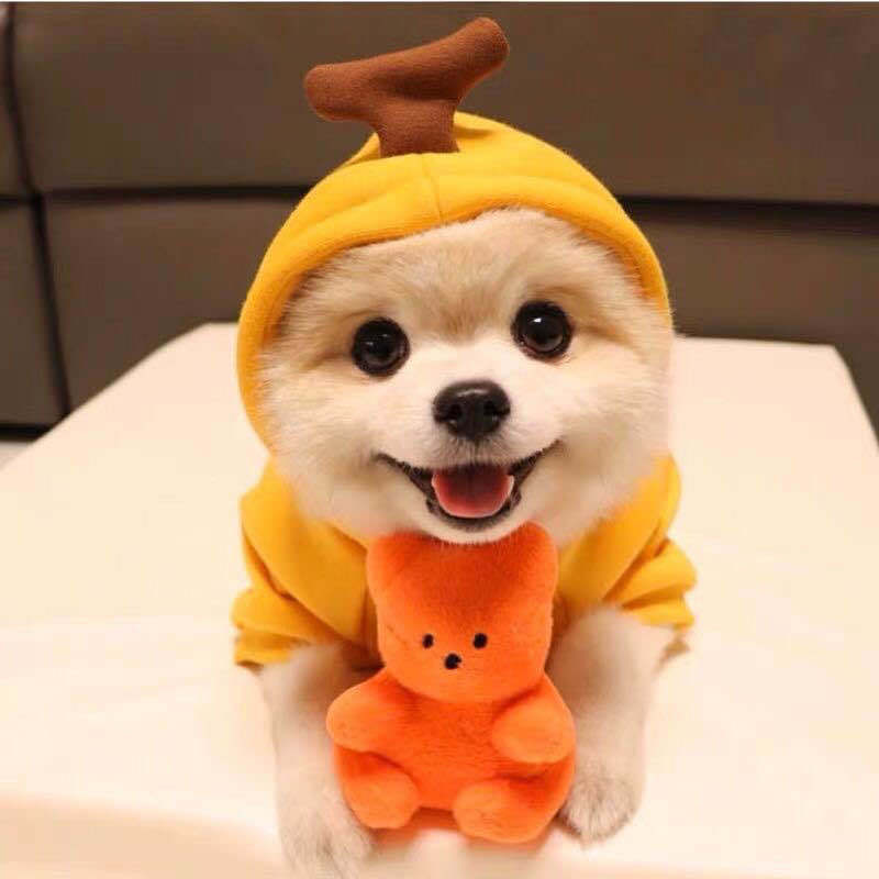 Cute Fruit Clothes For Small Dogs Hoodies Winter Warm Coat For French Chihuahua Outfit