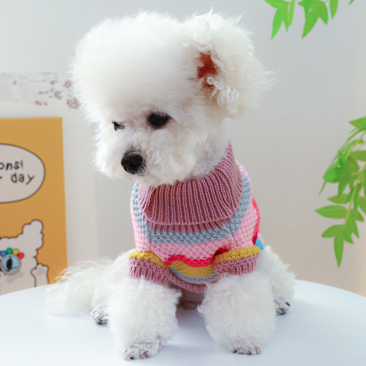 Pet Comfortable Ring Color Stripes Colorful Breathable Sweater