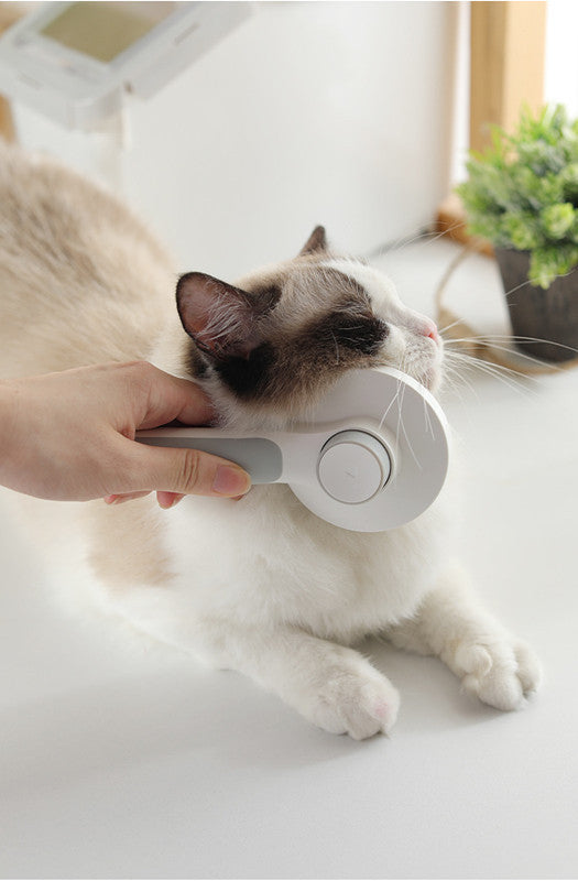Pet Massage Comb With an Ergonomically Designed Round Handle