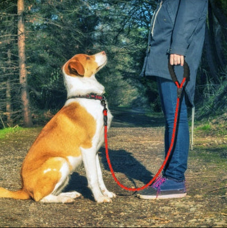 Reflective Nylon Pet Dog Leash For Small Medium Large Dogs Walking Training