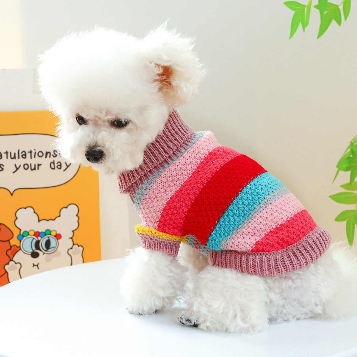 Pet Comfortable Ring Color Stripes Colorful Breathable Sweater